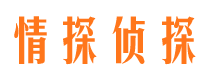 崇川市私家调查